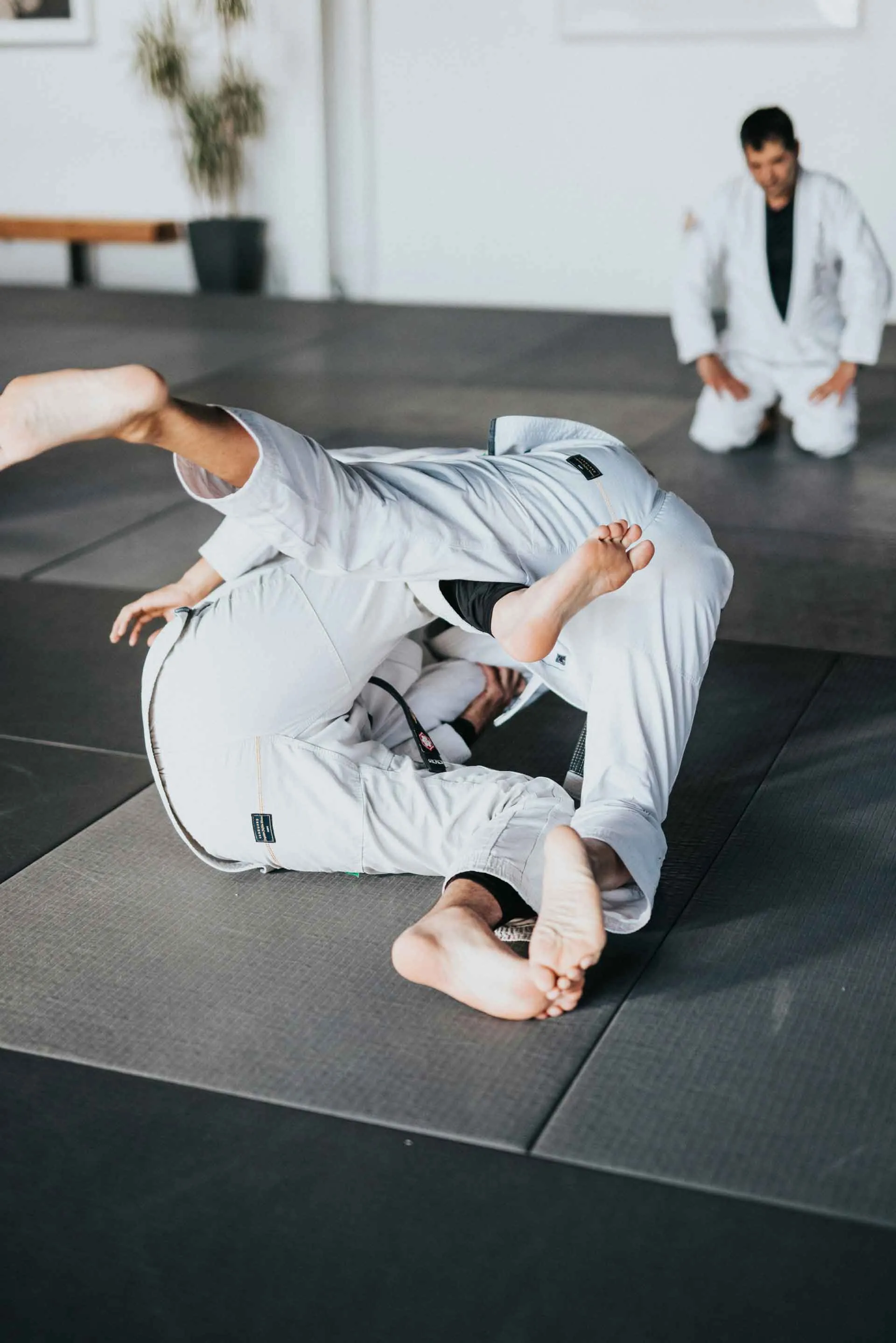 judo